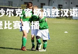 YY易游体育官网-沙尔克客场战胜汉诺威，取得关键胜利，沙尔克04vs汉堡比赛直播